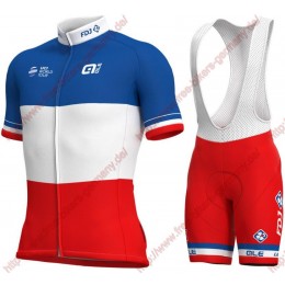 Radsport Groupama Fdj French Champion 2018 Radbekleidung Satz Trikot Kurzarm+Trägerh Radtrikot Kaufen