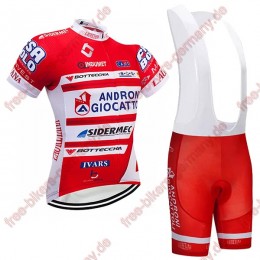 Profiteam 2018 androni giocattoli Radbekleidung Satz Trikot Kurzarm+Trägerh Radtrikot Kaufen