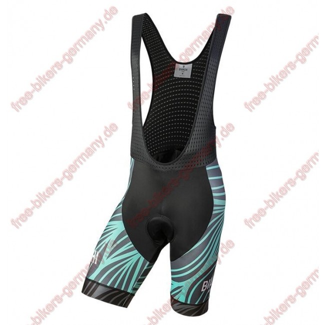 Profiteam 2018 Bianchi Milano Caina Blau Trägerhosen Set 84377GX Radtrikot Kaufen Profiteam 2018 Bianchi Milano Caina Blau Trägerhosen Set 84377GX Radtrikot Kaufen