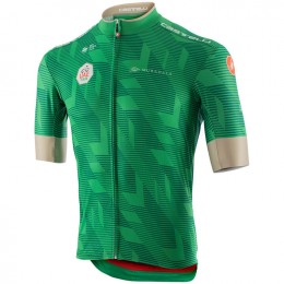 Fahrradbekleidung Radsport 2020 UAE Tour Trikot Kurzarm Outlet Grün Radtrikot Kaufen