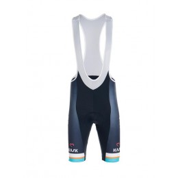 Fahrradbekleidung Radsport 2020 DE-ROSA SANTINI Trägerhosen S Radtrikot Kaufen