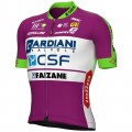BARDIANI CSF FAIZANE' 2022 Radtrikot kurzarm(langer RV)-ALE Radsport-Profi-Team Radtrikot Kaufen BARDIANI CSF FAIZANE' 2022 Radtrikot kurzarm(langer RV)-ALE Radsport-Profi-Team Radtrikot Kaufen