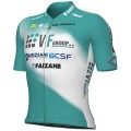 Herren Ale VF Group-Bardiani CSF-Faizane 2024 trikot Radtrikot Kaufen Herren Ale VF Group-Bardiani CSF-Faizane 2024 trikot Radtrikot Kaufen