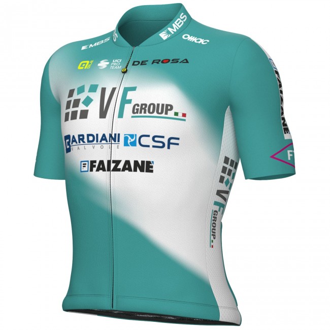 Herren Ale VF Group-Bardiani CSF-Faizane 2024 trikot Radtrikot Kaufen Herren Ale VF Group-Bardiani CSF-Faizane 2024 trikot Radtrikot Kaufen