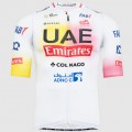 Herren Pissei Team UAE 2024 Magistrale trikot-Giro e Tour Radtrikot Kaufen