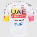 Herren Pissei Team UAE 2024 trikot-Giro e Tour Radtrikot Kaufen