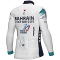 Herren Ale Bahrain Victorious 2025 langarmtrikot trikot Radtrikot Kaufen Herren Ale Bahrain Victorious 2025 langarmtrikot trikot Radtrikot Kaufen