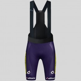Herren Gobik Wilier Vittoria 2025 Absolute Print K10 tragerhose Radtrikot Kaufen