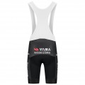 Herren Team Visma Lease a bike 2025 The Swarm tragerhose-Tdf Radtrikot Kaufen Herren Team Visma Lease a bike 2025 The Swarm tragerhose-Tdf Radtrikot Kaufen
