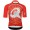 Herren Q36.5 Gregarius Clima Dolomites Extreme trikot-Rot Radtrikot Kaufen