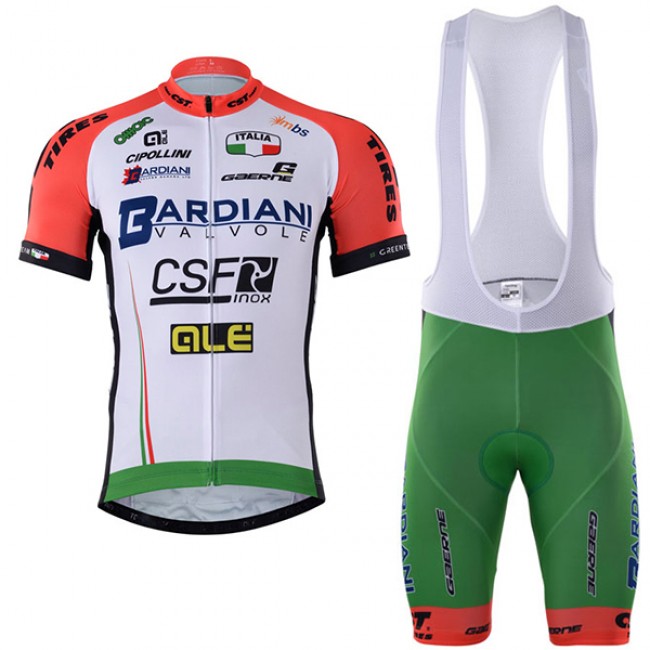 2017 BARDIANI CSF Fahrradbekleidung Satz Radtrikot Kurzarm+Kurz Trägerhose Radtrikot Kaufen 2017 BARDIANI CSF Fahrradbekleidung Satz Radtrikot Kurzarm+Kurz Trägerhose Radtrikot Kaufen